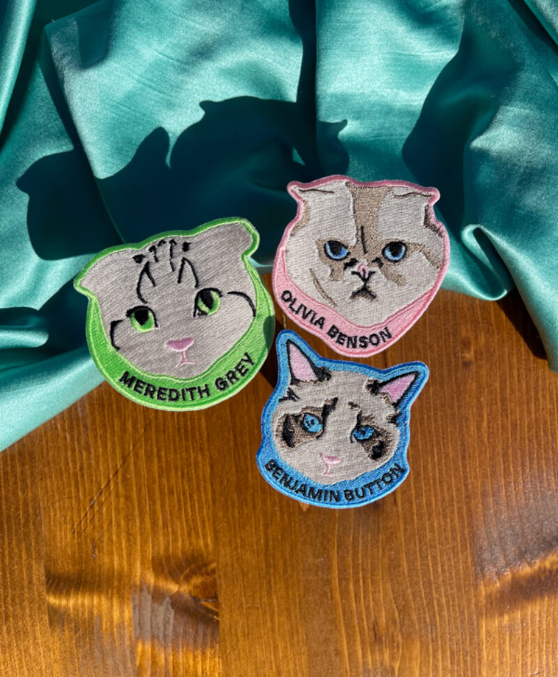 olivia benson, meredith grey, benjamin button taylor swift's cat iron on patch eras tour patches karma is a cat patch